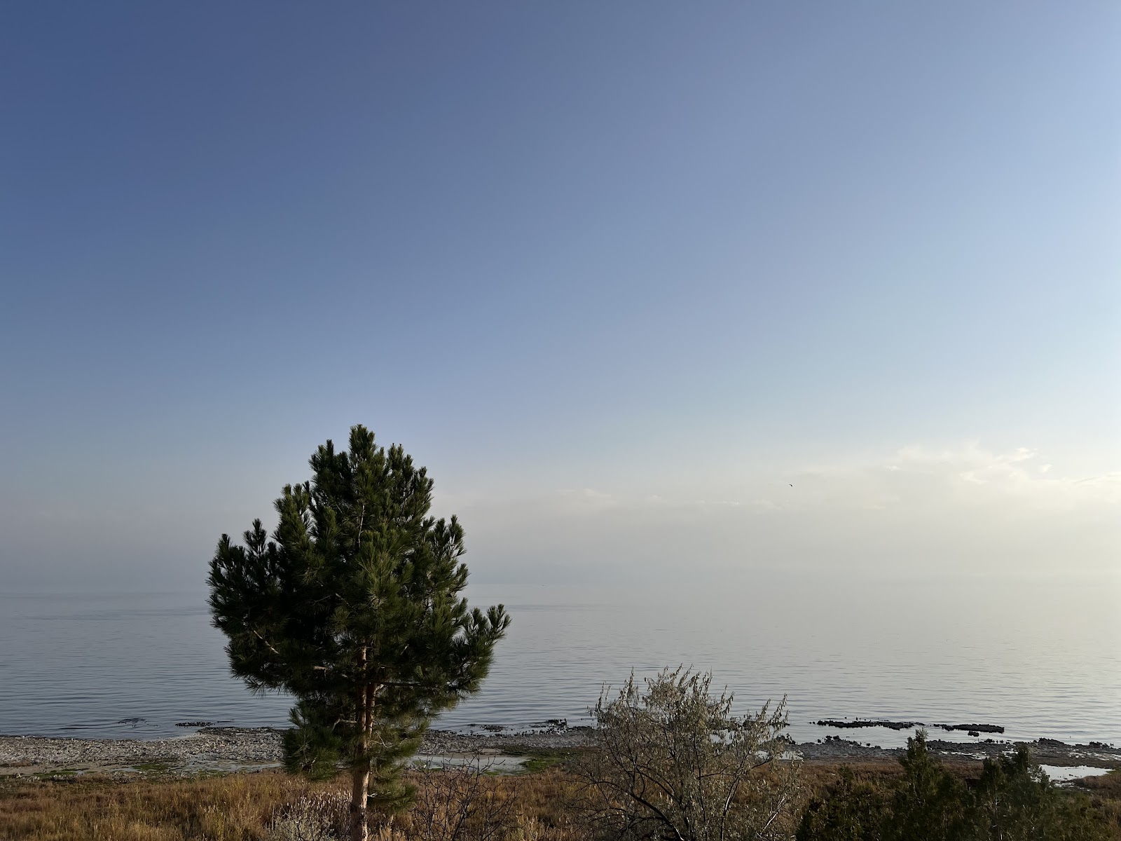Day Süphan Berk Bulutun Yeri Dinlenme Tesisi – Butik Otel – Restaurant – Camping – Davet Evi