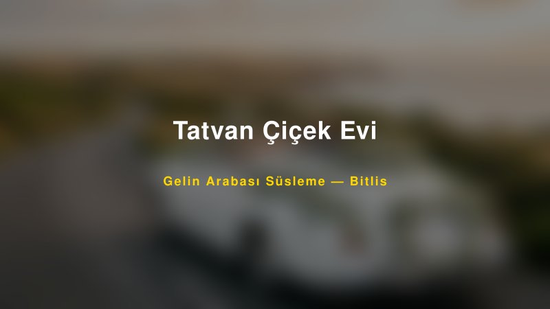 Tatvan Çiçek Evi Bitlis Gelin Arabası Süsleme
