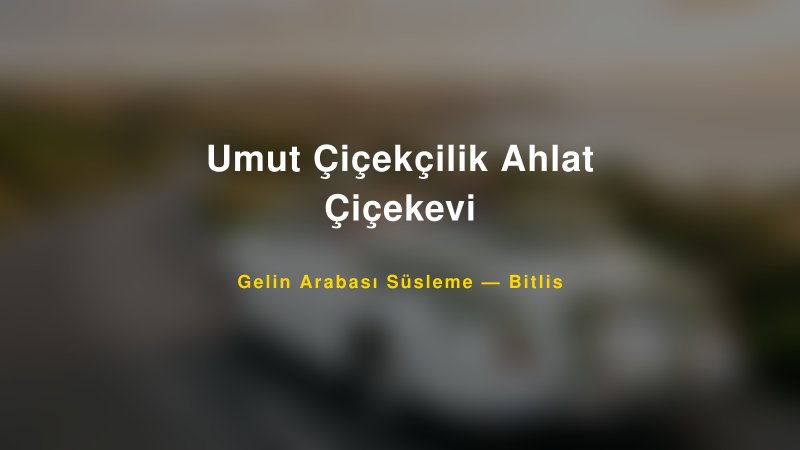 Umut Çiçekçilik Ahlat Çiçekevi Bitlis Gelin Arabası Süsleme