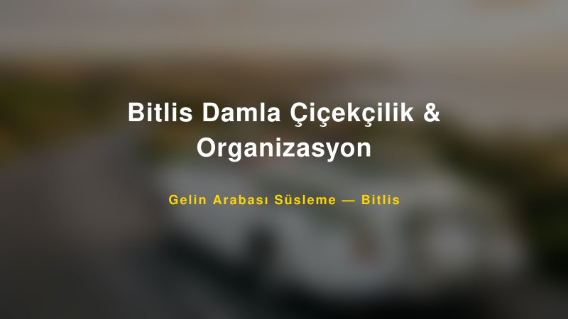 Bitlis Damla Çiçekçilik & Organizasyon Bitlis Gelin Arabası Süsleme