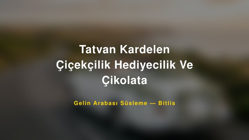 Tatvan Kardelen Çiçekçilik Hediyecilik Ve Çikolata Bitlis Gelin Arabası Süsleme