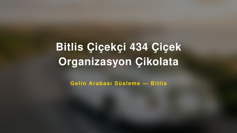 Bitlis Çiçekçi 434 Çiçek Organizasyon Çikolata ile Trend Gelin Arabası Yazıları ve Konseptleri