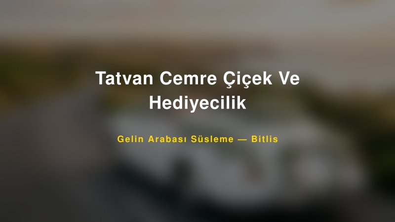 Tatvan Cemre Çiçek Ve Hediyecilik Gelin Arabası Süsleme Fiyatları